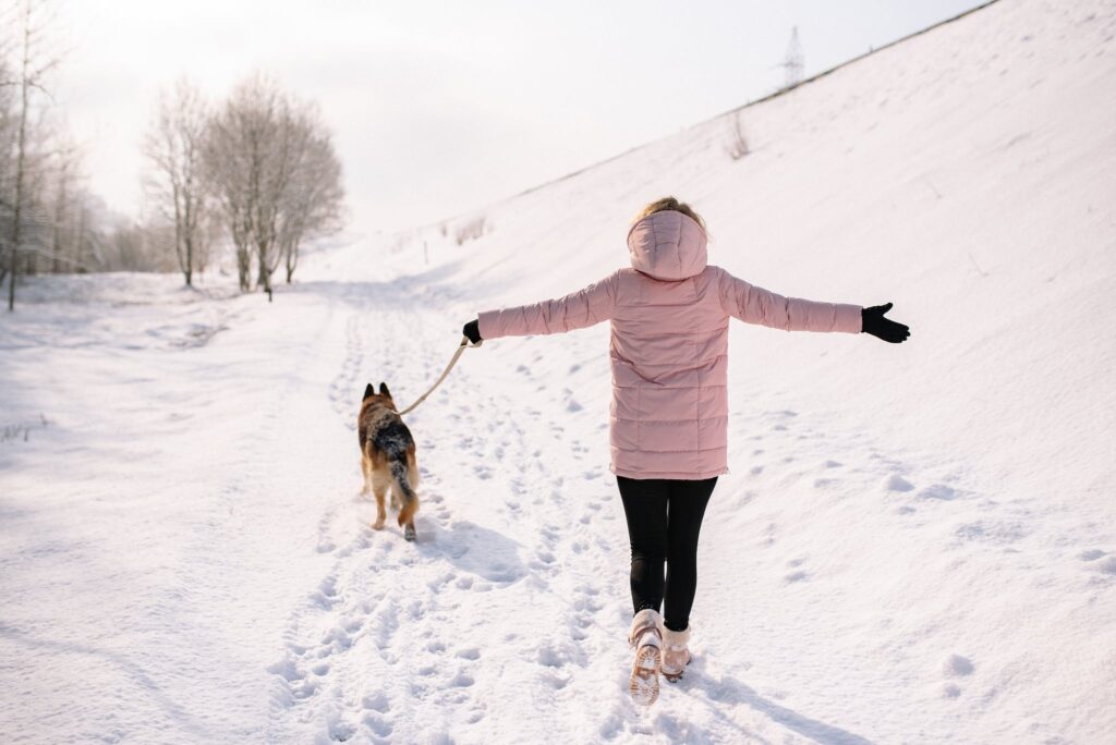 Person Walking the Dog At Winter